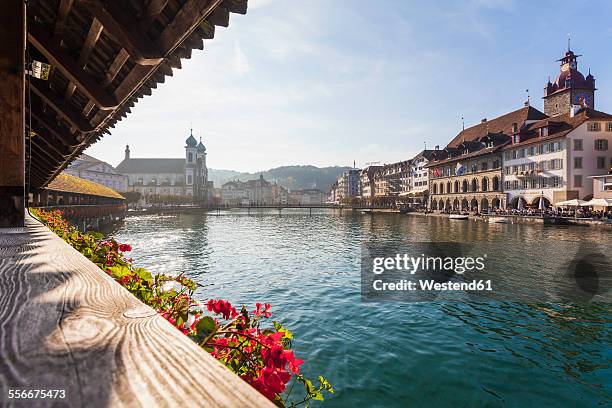 switzerland, canton of lucerne, lucerne, old town, reuss river, chapel bridge - luzern foto e immagini stock