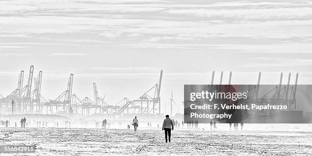 close encounters - high key stock pictures, royalty-free photos & images