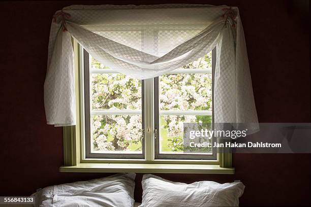 8,059 Spring Day From Window Stock Photos, High-Res Pictures, and ...