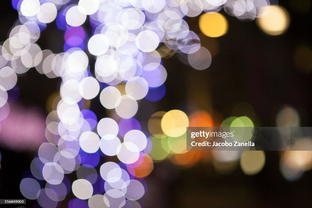 Decorative lights on a bare tree, defocused