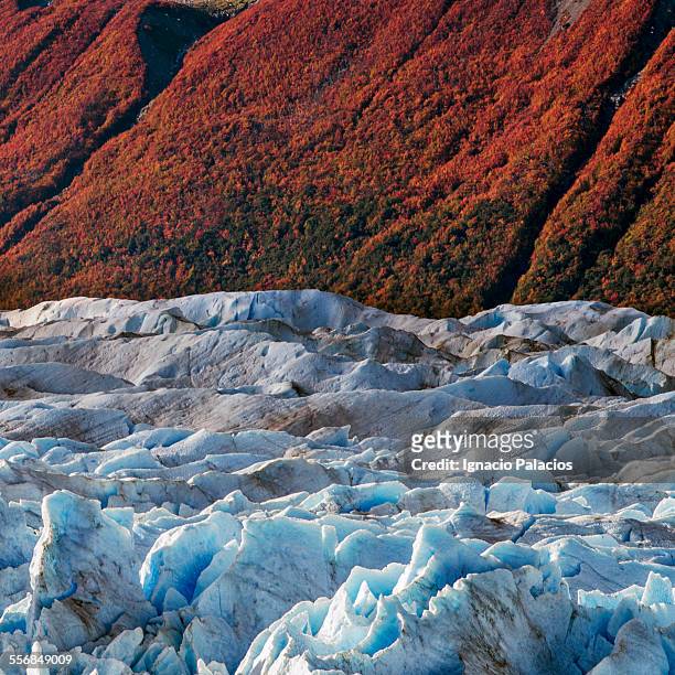 ice scupltures and textures, grey glacier - puerto natales stock-fotos und bilder