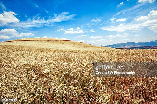 dong chuan red soil area - dongchuan stock pictures, royalty-free photos & images