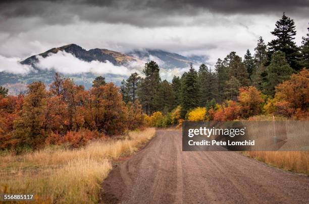 foggy mountain - pagosa springs - fotografias e filmes do acervo