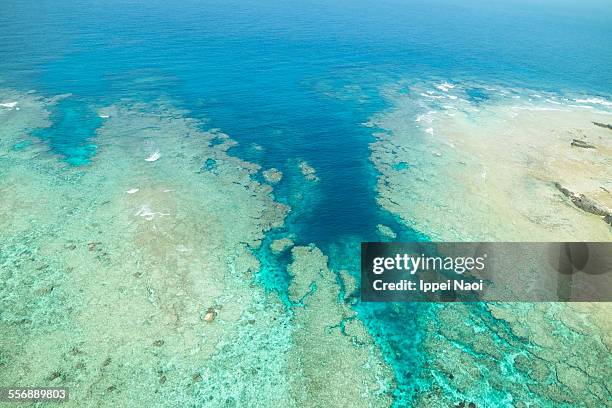 aerial shot of coral reef in tropical water, japan - satsunan islands fotografías e imágenes de stock