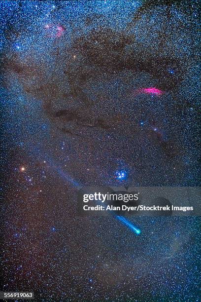 comet lovejoys long ion tail in taurus. - comet nucleus stock pictures, royalty-free photos & images