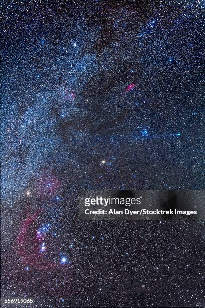 comet lovejoy in the winter sky. - comet nucleus stock pictures, royalty-free photos & images