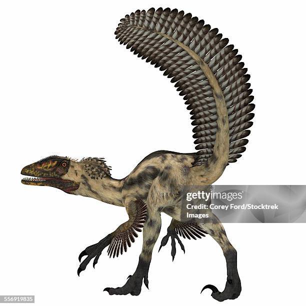 deinonychus was a carnivorous theropod that lived during the cretaceous period of north america. - deinonychus stock-grafiken, -clipart, -cartoons und -symbole