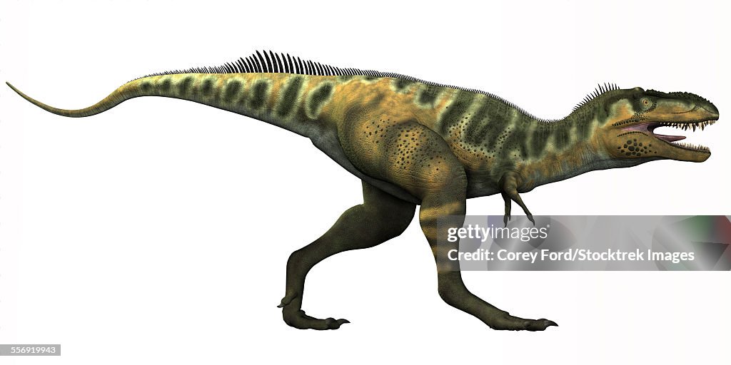 Bistahieversor is a genus of tyrannosauroid dinosaur that lived in New Mexico during the Cretaceous Period.