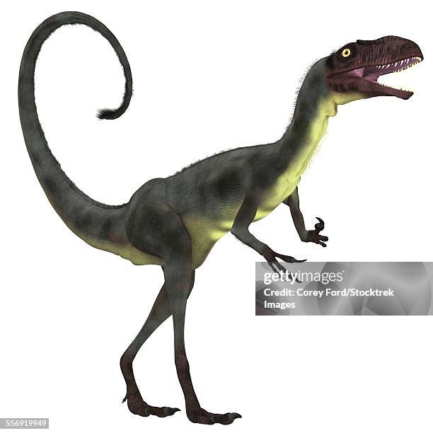 Dilong Was A Small Carnivorous Theropod Dinosaur That Lived During The Lower Cretaceous Period Of China, Foto stock