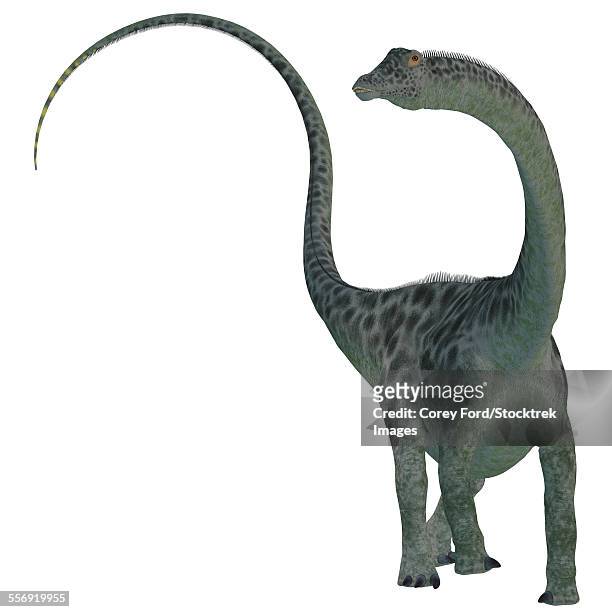 ilustrações, clipart, desenhos animados e ícones de diplodocus was a sauropod herbivorous dinosaur that lived during the jurassic period of north america. - diplodocus