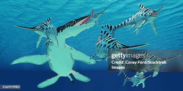 a pod of eurhinosaurus marine reptiles try to evade the much larger liopleurodon in jurassic seas. - nahrungskette stock-grafiken, -clipart, -cartoons und -symbole