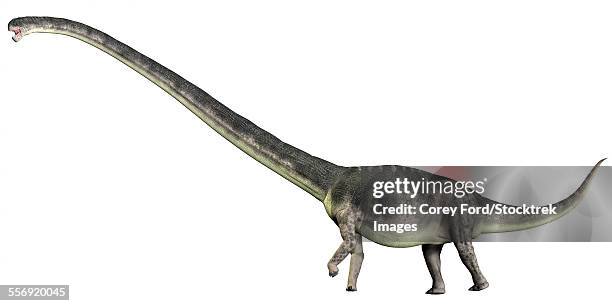 Omysaurus Omeisaurus Is A Herbivorous Sauropod Dinosaur That Lived During The ...