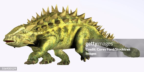 Talarurus Talarurus Was A Herbivorous Dinosaur With A Club Tail That Lived During ...