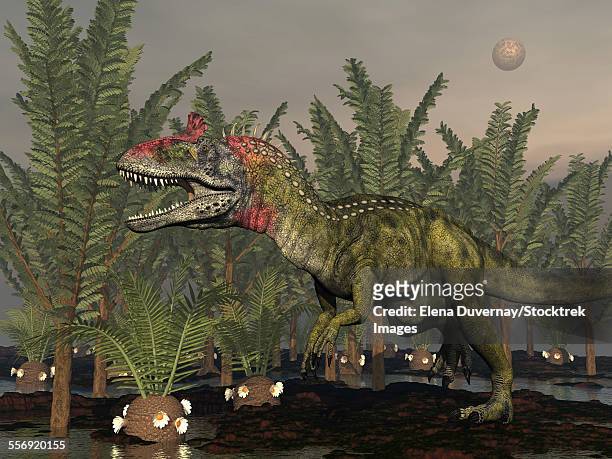 cryolophosaurus dinosaur walking amongst pachypteris trees and cycadeoidea plants. - cycad stock-grafiken, -clipart, -cartoons und -symbole
