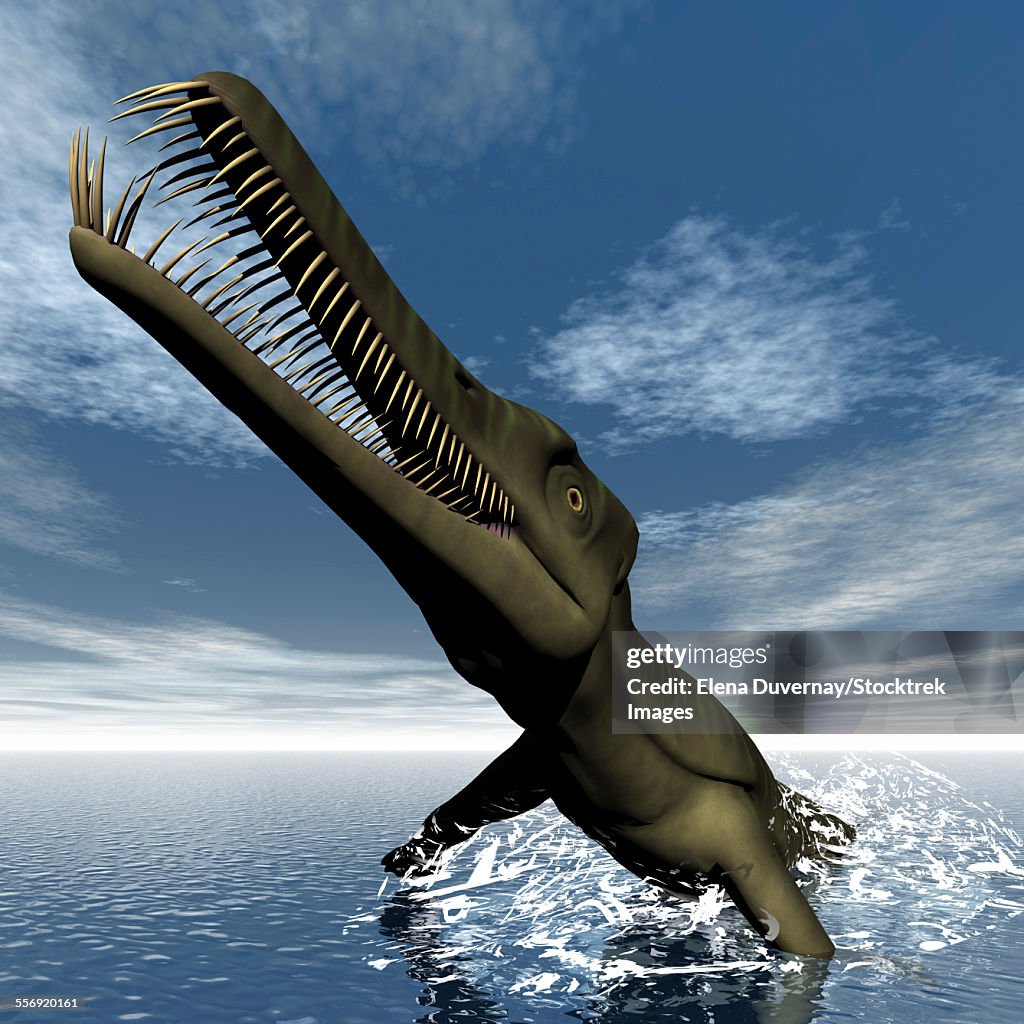 Mesosaurus dinosaur jumping out of the water.