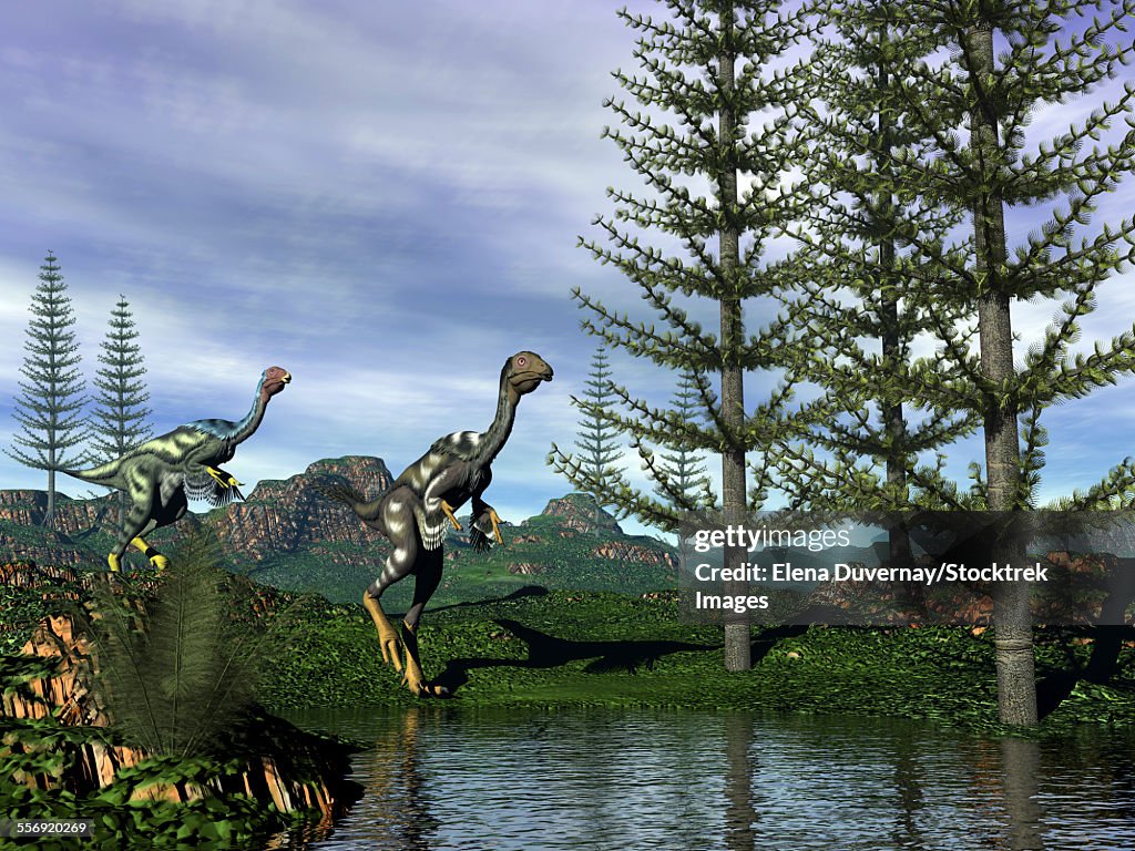 Caudipteryx dinosaurs at the waters edge next to tempskya trees.