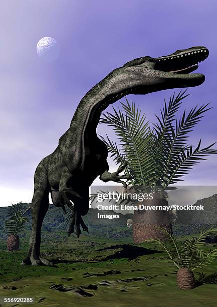 monolophosaurus dinosaur roaring next to cycadeoidea plant. - cycad stock illustrations