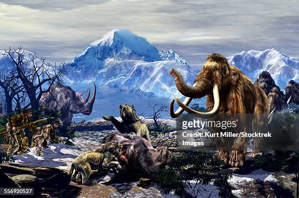 ilustraciones, imágenes clip art, dibujos animados e iconos de stock de two neanderthals aproaching a group of machairodontinae feeding on a woolly rhinoceros with a group of woolly mammoths on the far end. - woolly mammoth