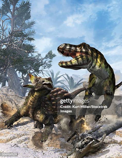 ankylosaurus hits tyrannosaurus rex with its clubbed tail in self-defense. - scute stock illustrations