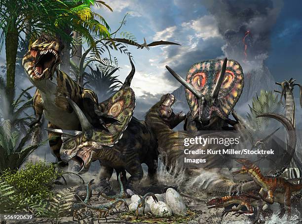 ilustrações, clipart, desenhos animados e ícones de a pair of tyrannosaurus rex fighting with a family of torosaurus who are protecting their eggs. - atividade vulcânica