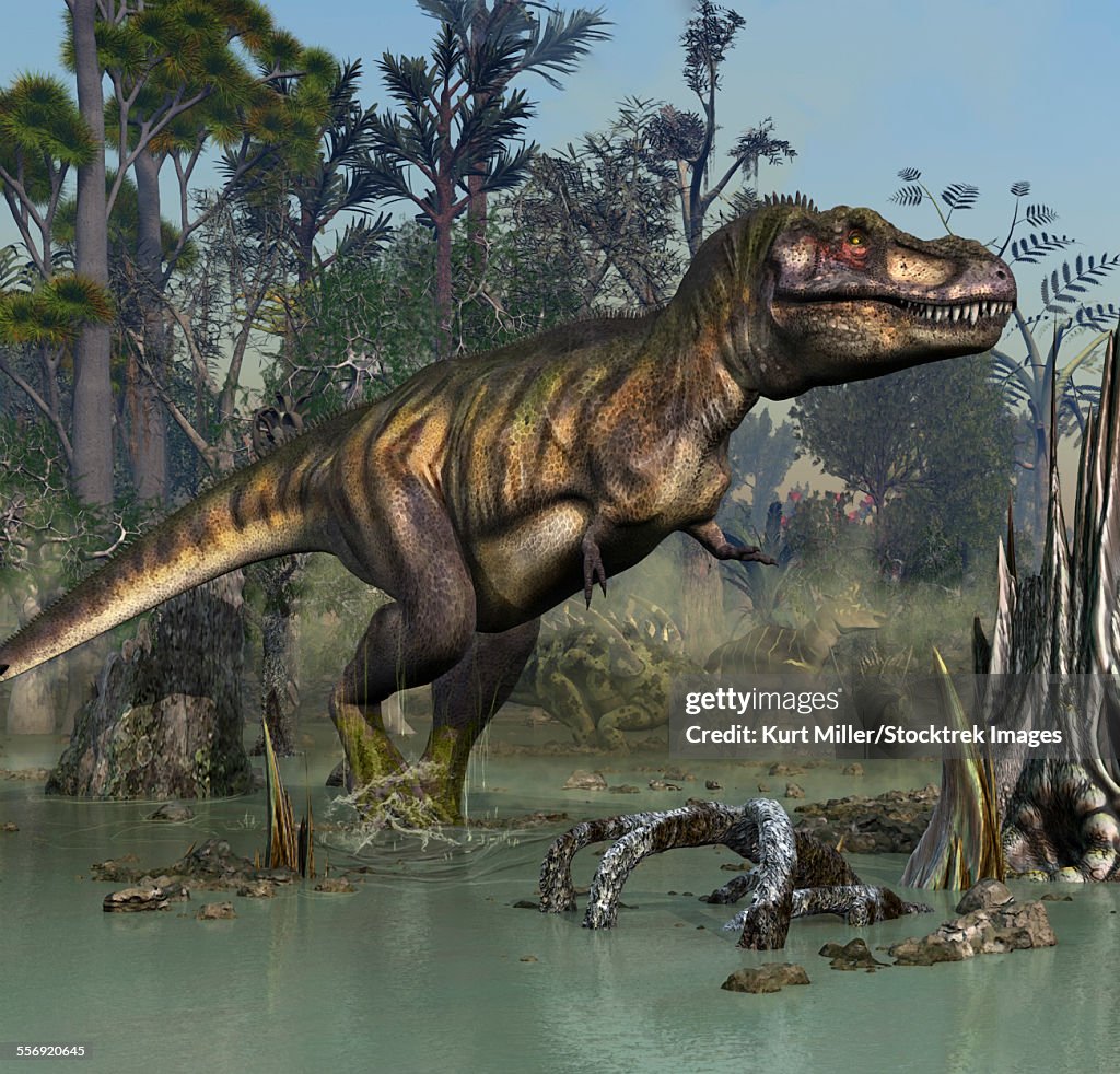 Tyrannosaurus rex smelling a few Gigantspinosaurus and a Corythosaurus in the near distance of the swamp.