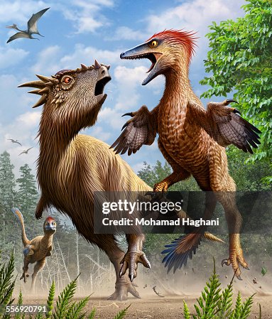 Pectinodon Confrontation Between Pectinodon Bakkeri And A Stygimoloch From The ...