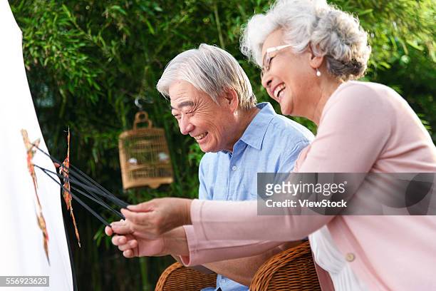 elderly couple was shadow puppet show - shadow puppeteer - fotografias e filmes do acervo