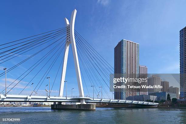 tokyo, japan - cable stayed bridge stock pictures, royalty-free photos & images