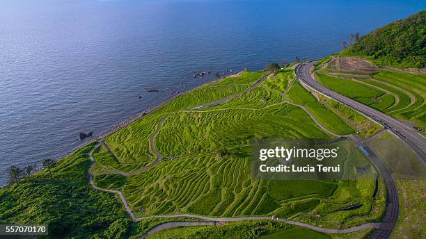 aerial view of the senmaida, terraced rice field, noto peninsula, ishikawa prefecture, japan - noto bildbanksfoton och bilder