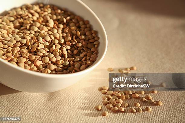 lentils - lentilhas. - braune linse stock-fotos und bilder