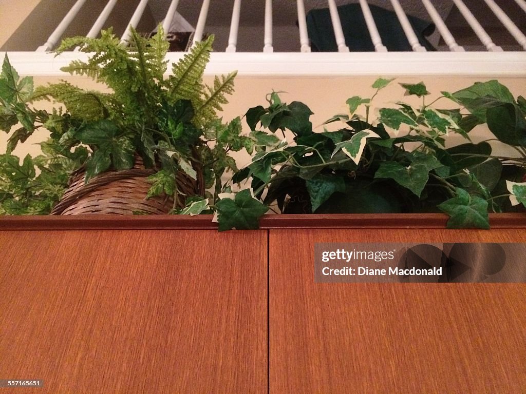 Quirky Home Decor