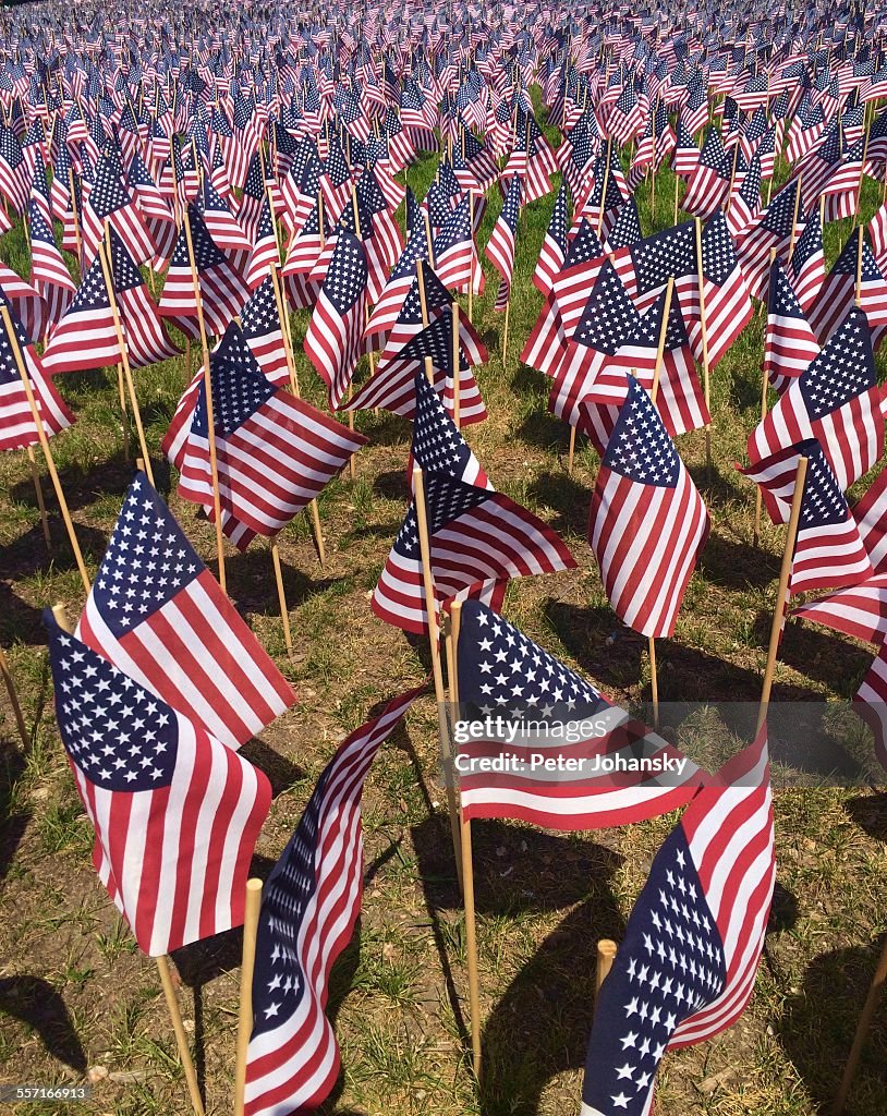 Memory Flag Memorial Flags High-Res Stock Photo - Getty Images