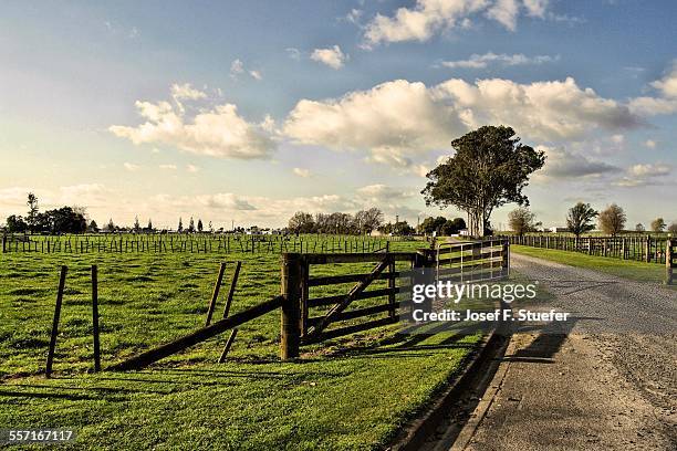 epic landscapes - hamilton new zealand stock pictures, royalty-free photos & images