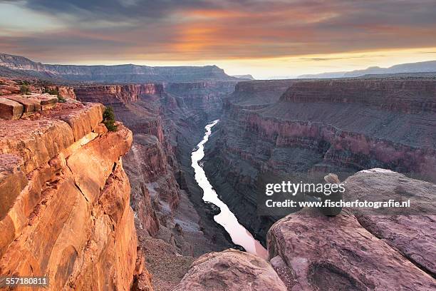 enjoying the lonely view - grand canyon stock pictures, royalty-free photos & images