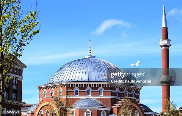 west mosque in amsterdam - moské bildbanksfoton och bilder