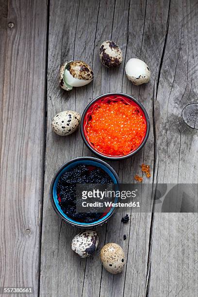 black and red caviar in bowls, boiled quail eggs on wood - ikura bildbanksfoton och bilder