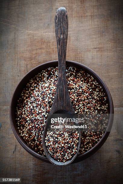 wooden spoon and bowl of uncooked quinoa tricolor grains - quinoa stockfoto's en -beelden