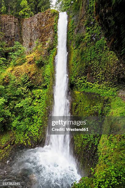 usa, oregon, hood river county, columbia river gorge, tunnel falls - eagle creek trail stockfoto's en -beelden