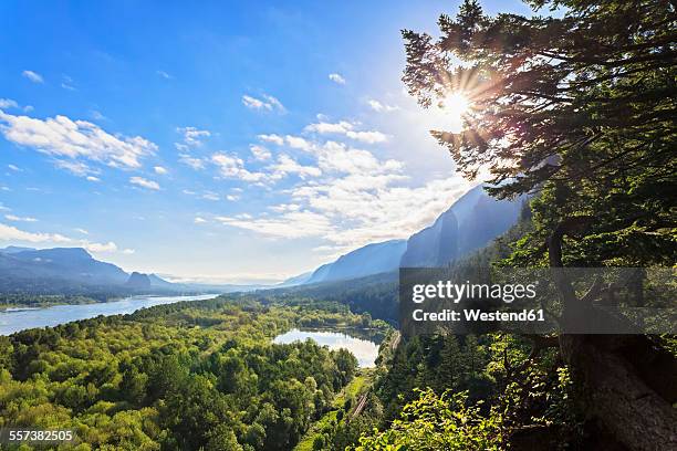 usa, oregon, columbia river gorge, multnomah county, view to columbia river - columbia river stock pictures, royalty-free photos & images