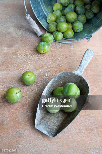 zinc bucket and shovel of greengages - greengage stock pictures, royalty-free photos & images