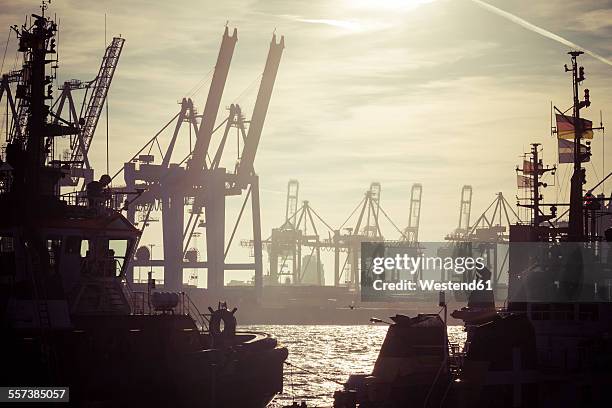 germany, hamburg, port of hamburg, harbour cranes and towboats at sunset - hamburg harbour stock-fotos und bilder