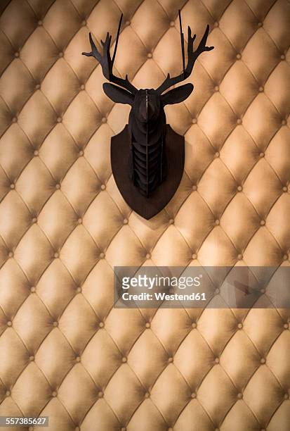 cardboard deer antler hanging on a padded wall - animal head on wall stock pictures, royalty-free photos & images