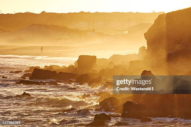 portugal, algarve, sagres, martinhal beach - littoral rocheux photos et images de collection