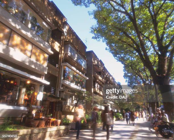 dojyunnkai apartment - omotesando tokyo stock pictures, royalty-free photos & images