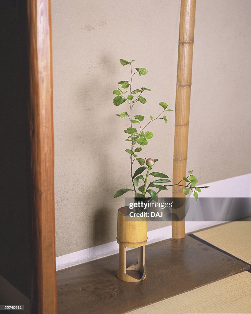 Flowers Arranged in Vase