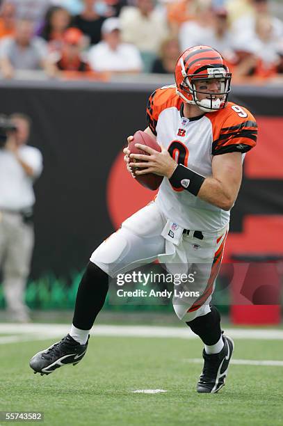 Quarterback Carson Palmer of the Cincinnati Bengals looks to pass against the Minnesota Vikings during the NFL game at Paul Brown Stadium on...