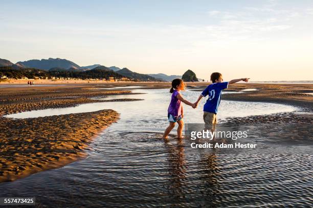 caucasian children walking in tide pools on beach, cannon beach, oregon, united states - cannon beach imagens e fotografias de stock