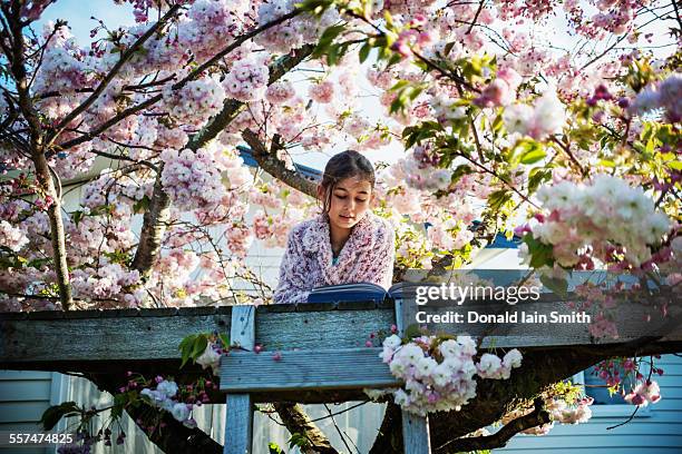 mixed race girl reading book in tree house - manawatu stock pictures, royalty-free photos & images