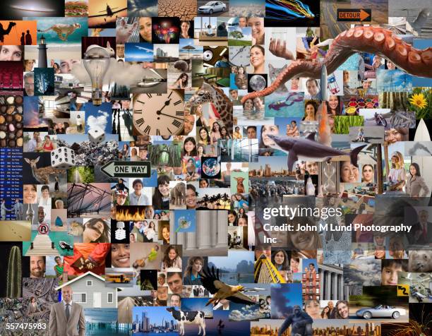 collage of smiling people, road signs and clocks - fotos of baby giraffes stock-fotos und bilder