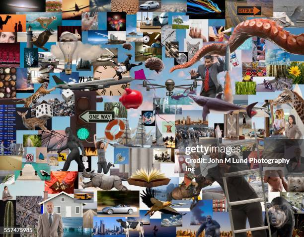 businesswoman using telescope to examine collage of information - large group of animals stock pictures, royalty-free photos & images